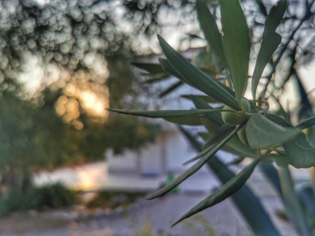 B&B Villa Mediterranee Con Parking Space Трани Екстериор снимка