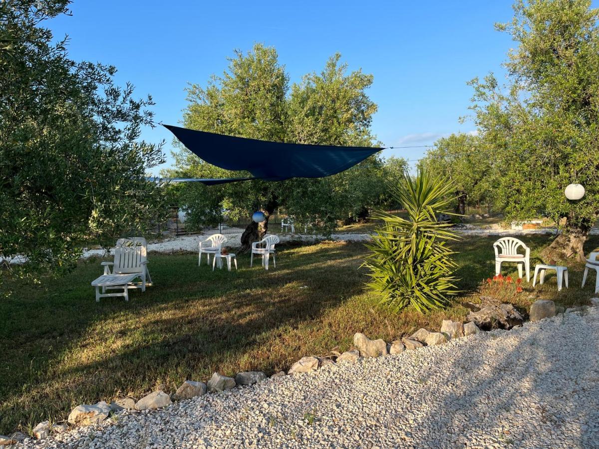 B&B Villa Mediterranee Con Parking Space Трани Екстериор снимка