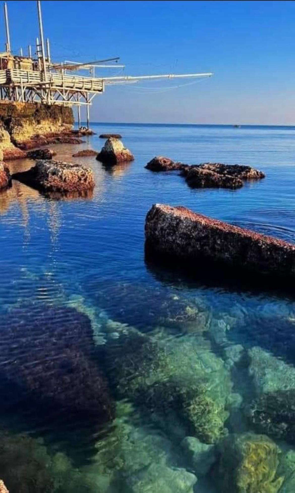B&B Villa Mediterranee Con Parking Space Трани Екстериор снимка