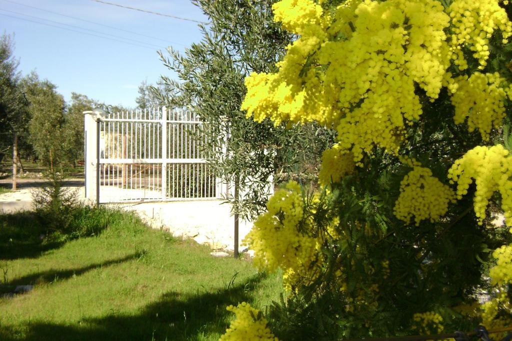B&B Villa Mediterranee Con Parking Space Трани Екстериор снимка